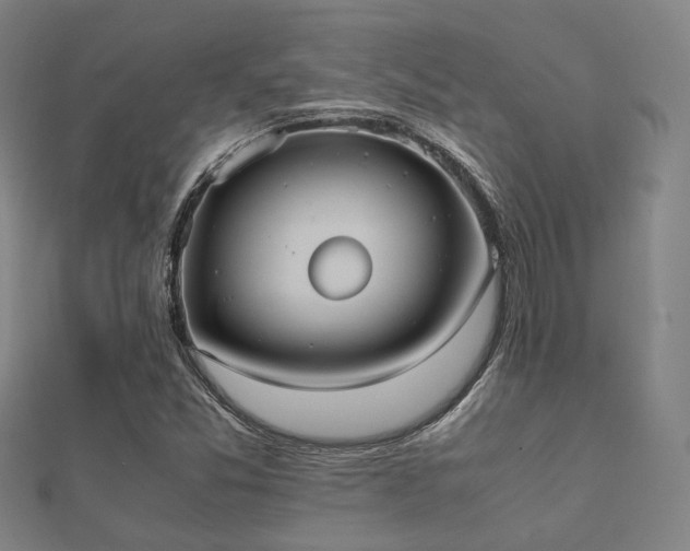 X0000112051357200908111340