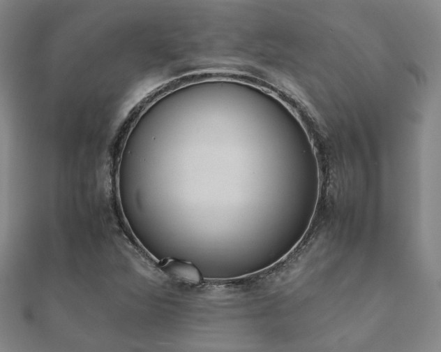 X0000112051360200908111340