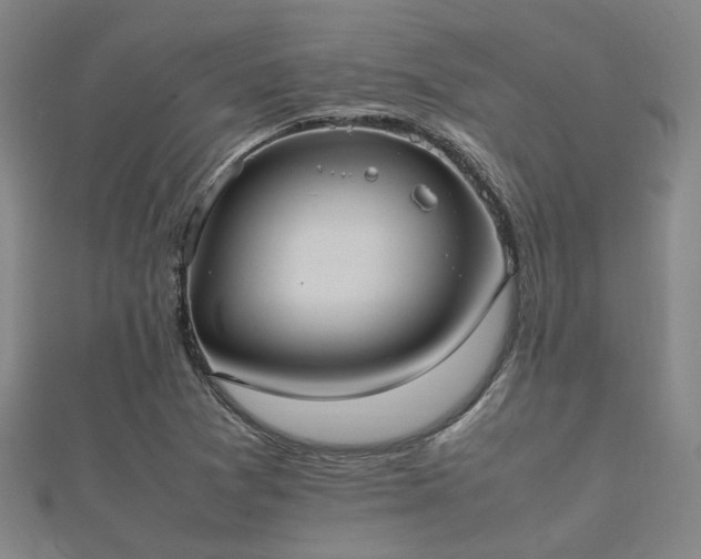 X0000112051361200908111340