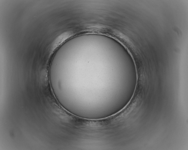 X0000112051362200908111340