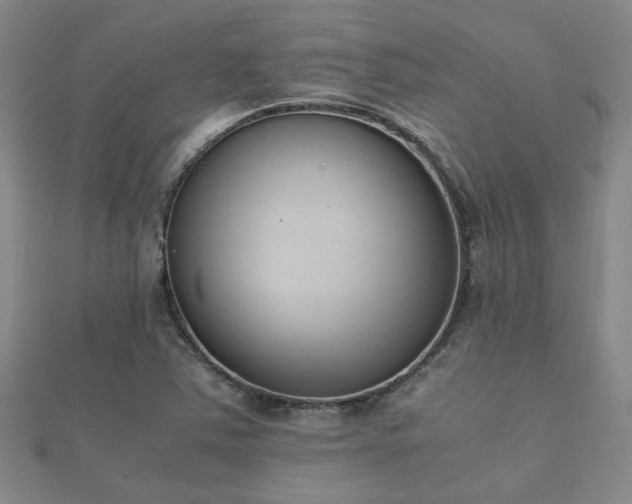 X0000112051363200908111340