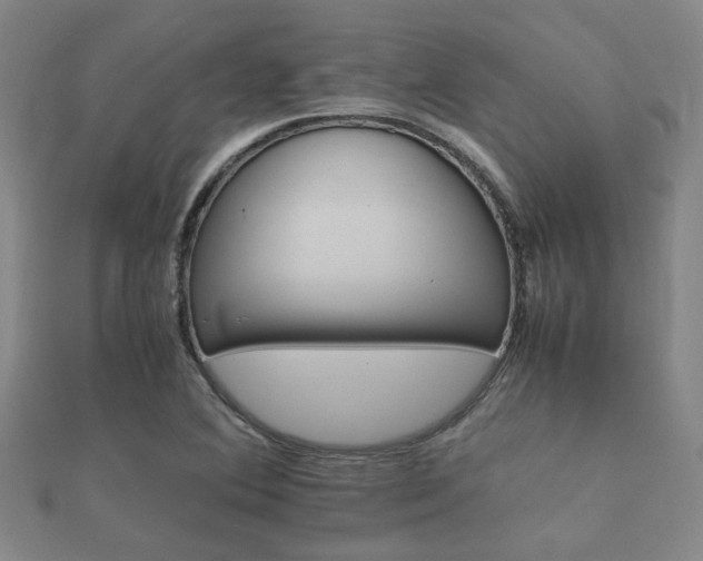 X0000112051364200908111340