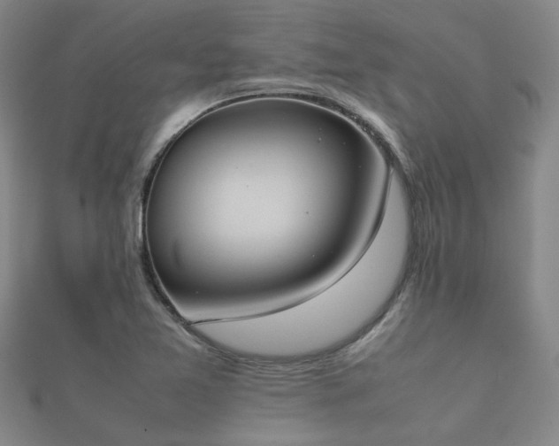 X0000112051365200908111340