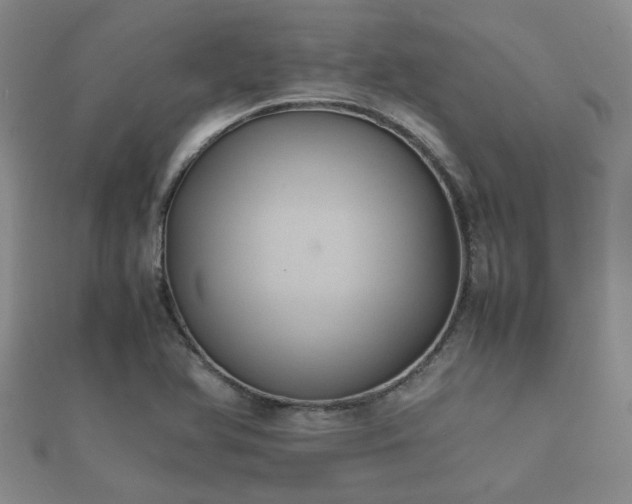 X0000112051366200908111340