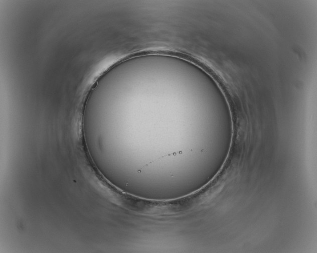 X0000112051367200908111340