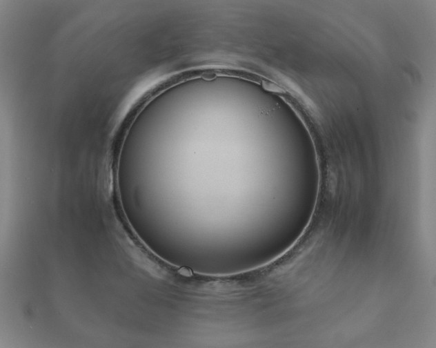 X0000112051368200908111340