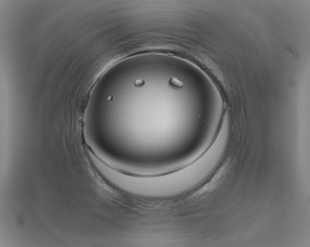 X0000112051369200908111340