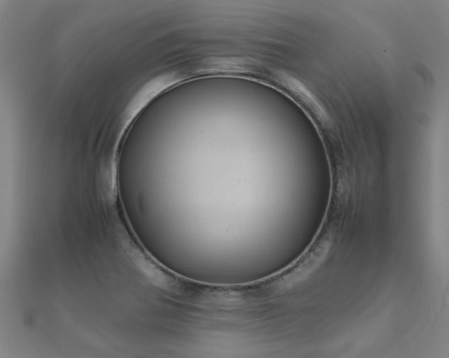 X0000112051370200908111340