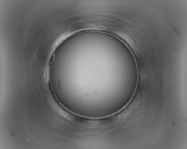 X0000112051371200908111340