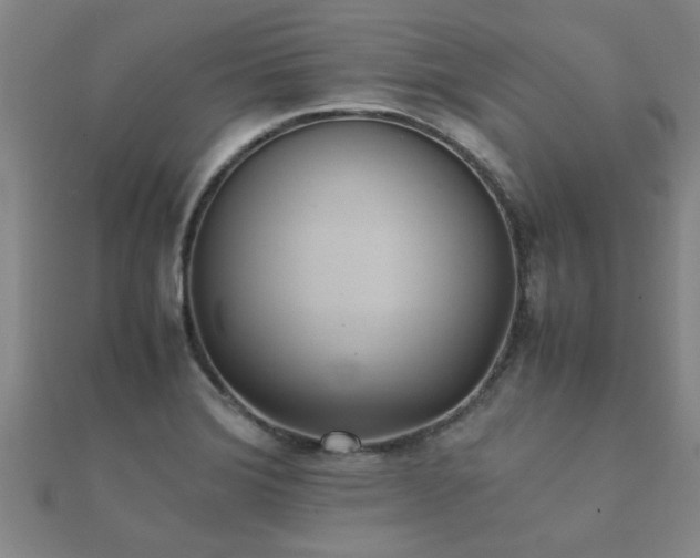 X0000112051372200908111340