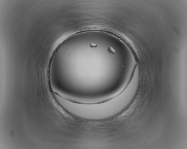 X0000112051373200908111340