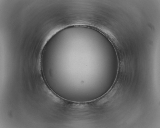 X0000112051374200908111340