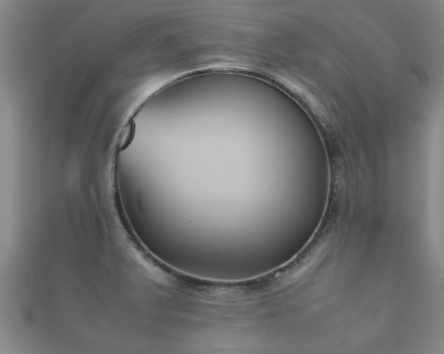 X0000112051375200908111340