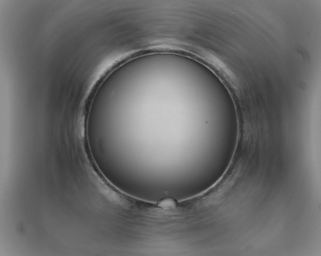 X0000112051376200908111340