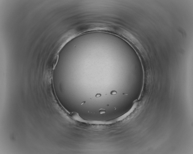 X0000112051377200908111340