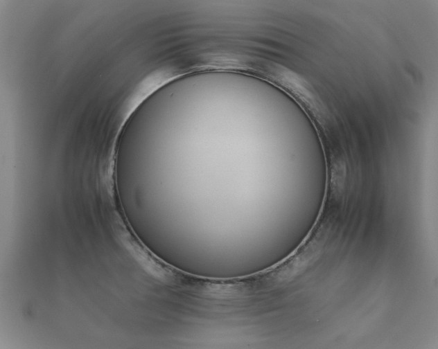 X0000112051378200908111340