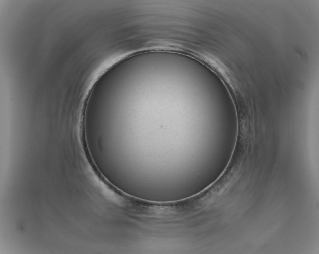 X0000112051379200908111340