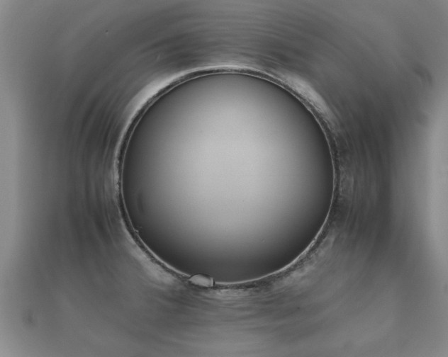 X0000112051380200908111340