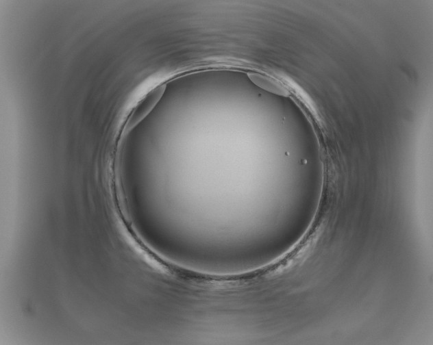 X0000112051381200908111340