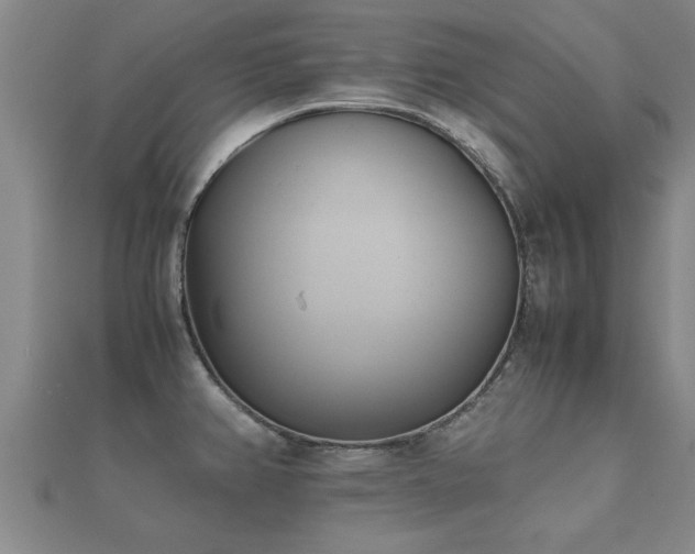 X0000112051382200908111340