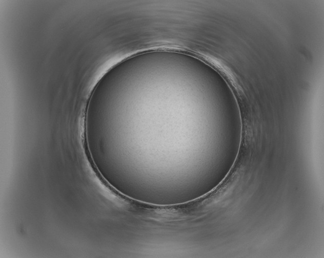 X0000112051383200908111340