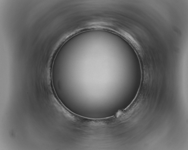 X0000112051384200908111340