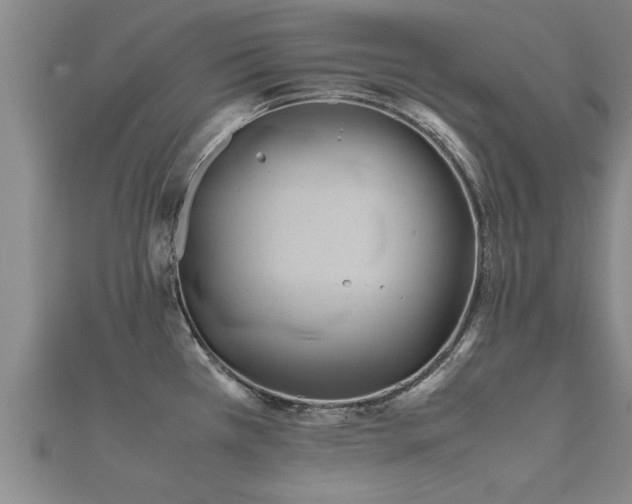 X0000112051385200908111340