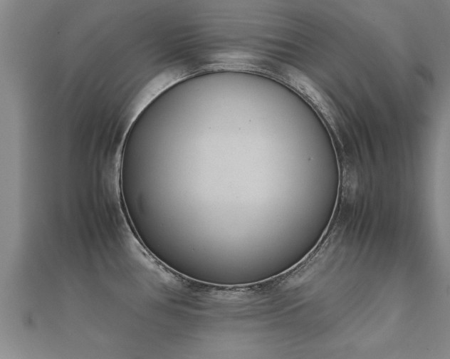 X0000112051386200908111340