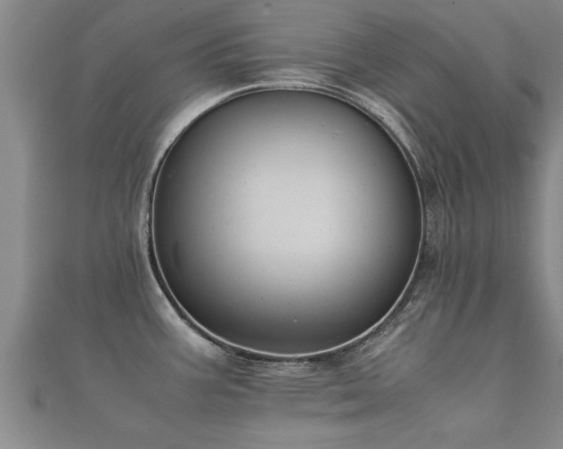 X0000112051387200908111340