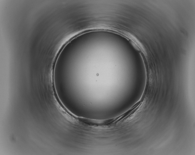 X0000112051388200908111340