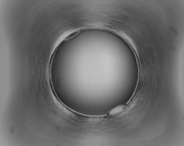 X0000112051389200908111340