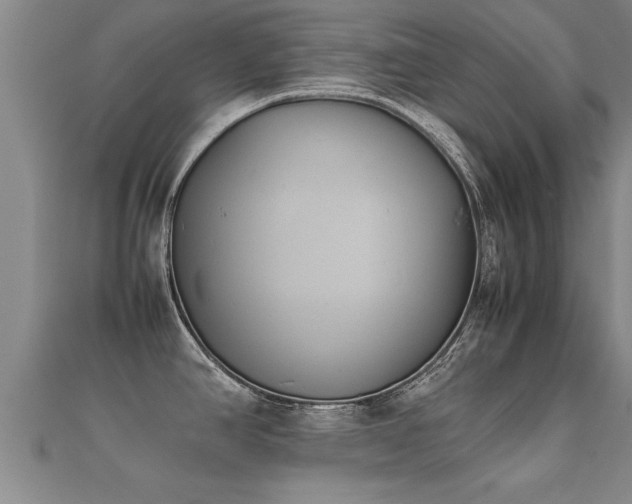 X0000112051390200908111340