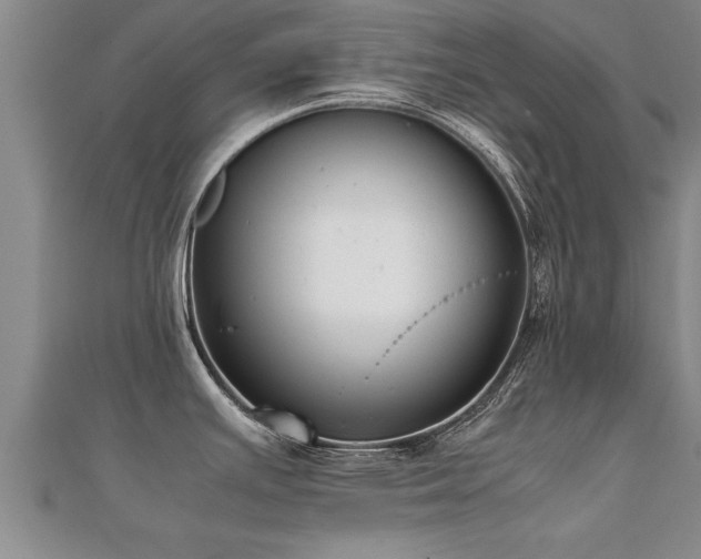 X0000112051391200908111340