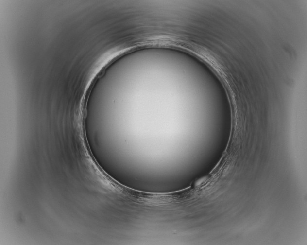 X0000112051392200908111340