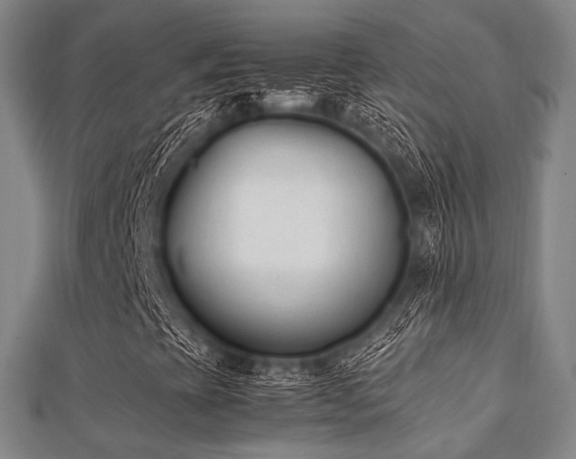 X0000112051393200908111339