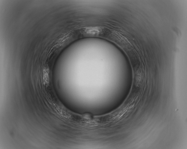 X0000112051394200908111339