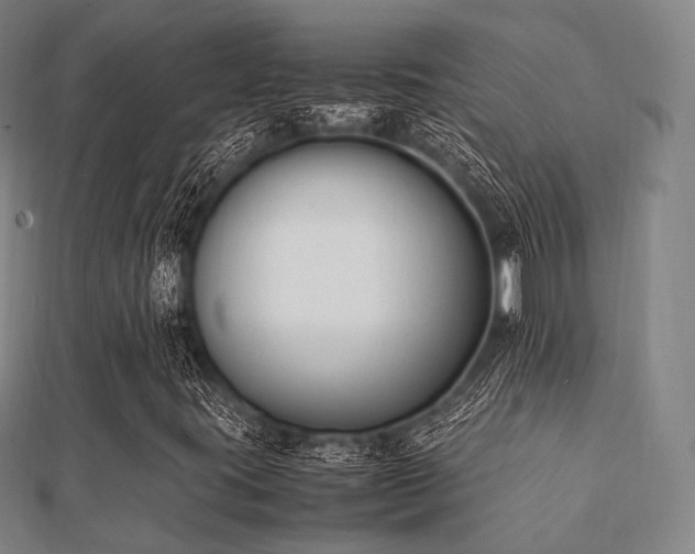 X0000112051395200908111339