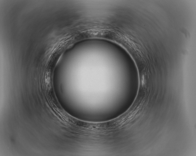 X0000112051396200908111339