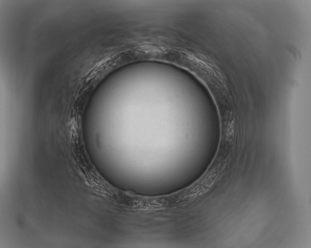 X0000112051397200908111339