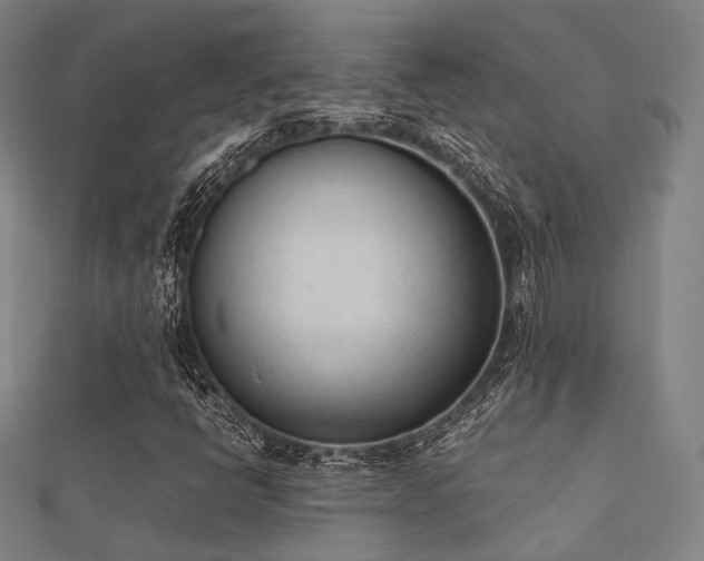 X0000112051398200908111339