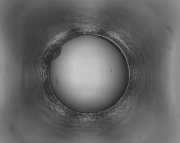 X0000112051399200908111339