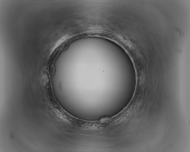 X0000112051400200908111339