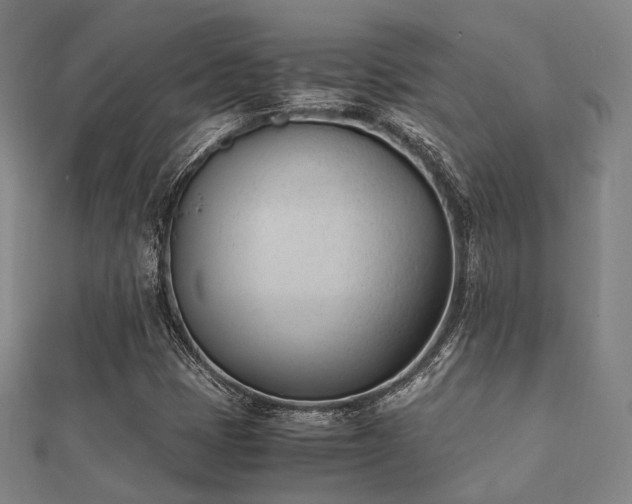 X0000112051401200908111340