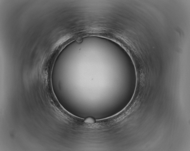 X0000112051402200908111340