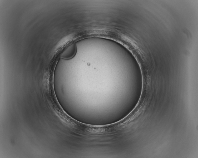 X0000112051403200908111340