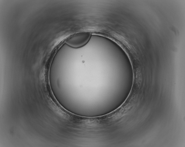 X0000112051404200908111340