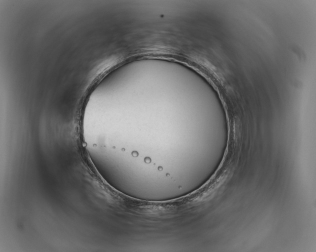 X0000112051405200908111340