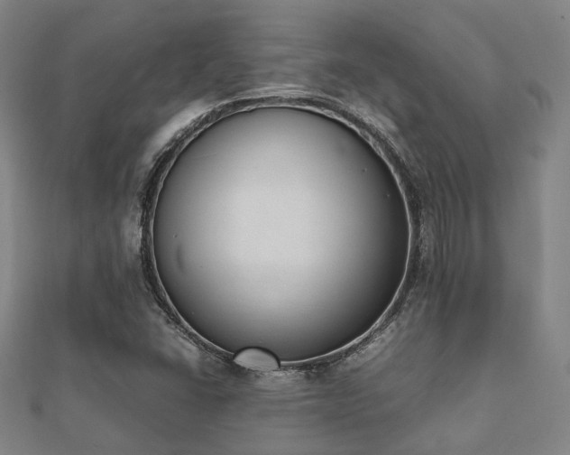 X0000112051406200908111340