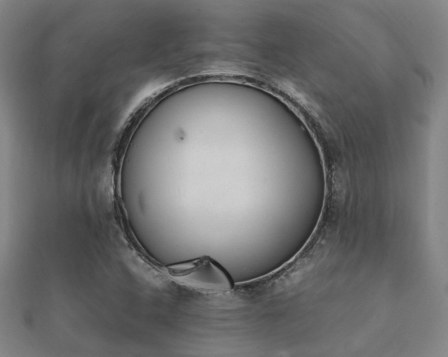 X0000112051408200908111340