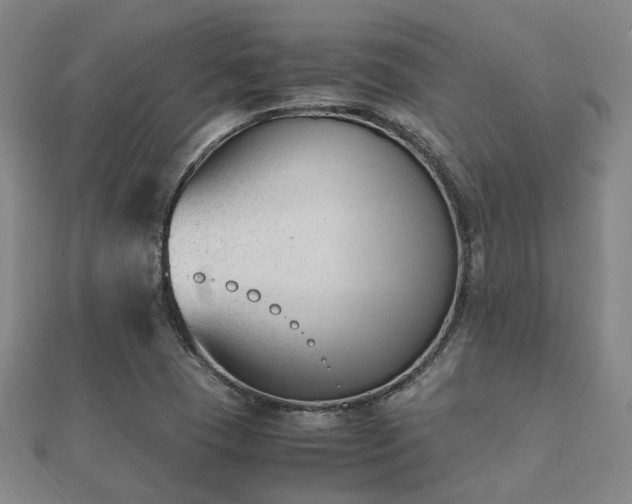 X0000112051409200908111340